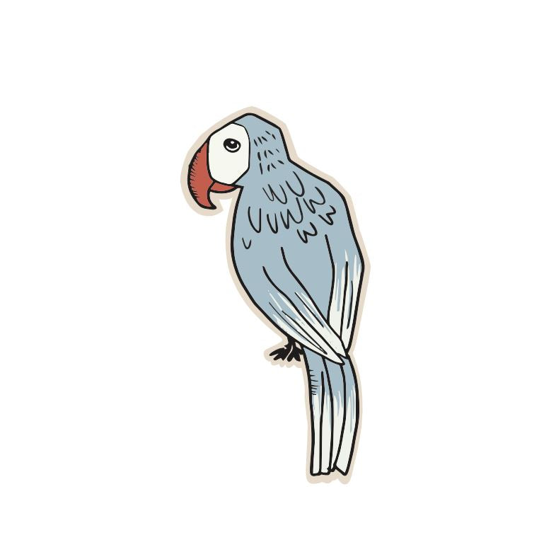 APPLICATION - PARROT