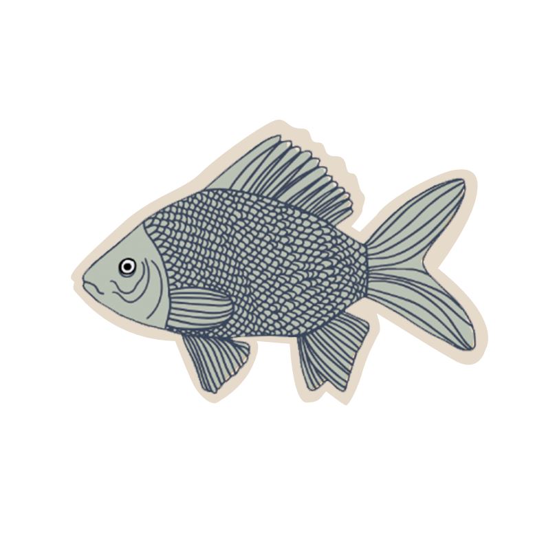 APPLIKATION - FISHPOND